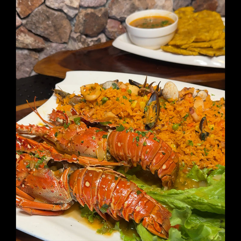 Langosta reina de portobello