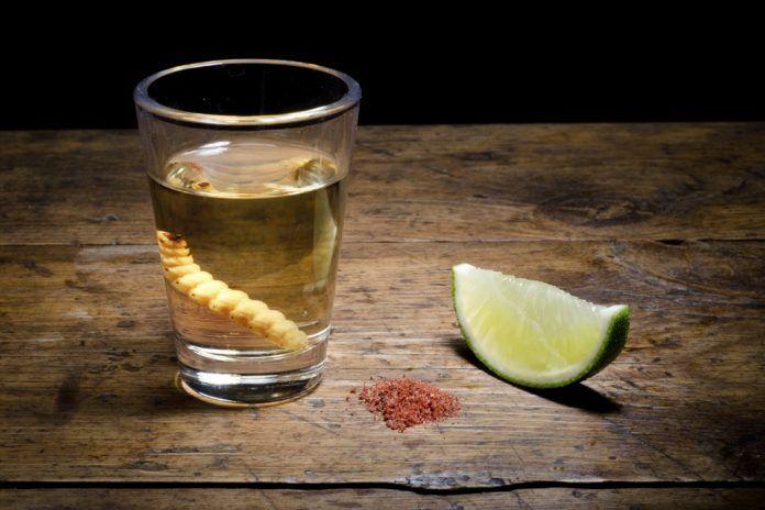 TEQUILA DIPUTADO TRAGOS